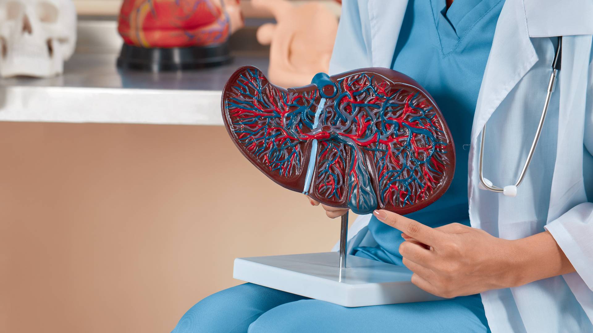 Hepatologia, Doenças do Fígado